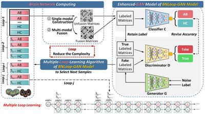 BNLoop-GAN: a multi-loop generative adversarial model on brain network learning to classify Alzheimer’s disease